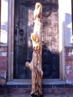 f. Face and Barn Owl.jpg